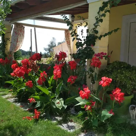 Margarita's Corfu Διαμέρισμα *